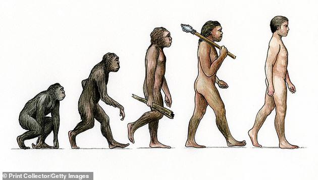 科學(xué)家發(fā)現(xiàn)幾十種基因，認(rèn)為它們可能在人類進(jìn)化歷程中發(fā)揮著關(guān)鍵作用。