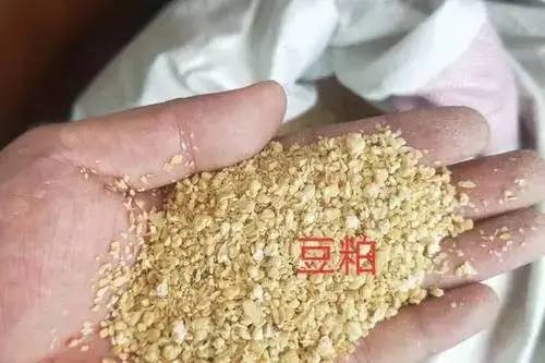 中國(guó)用尾氣合成出蛋白質(zhì) 這個(gè)全球首次的技術(shù)為啥還被噴了？